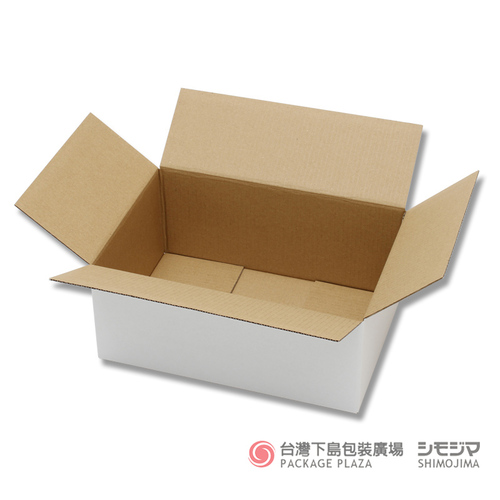 白色瓦楞紙箱／B5用-110／20入  |商品介紹|捆包用品|白色瓦楞紙箱