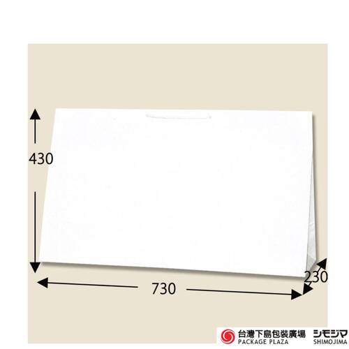 紙袋) BR-2 / 寬底白色 / 10入產品圖