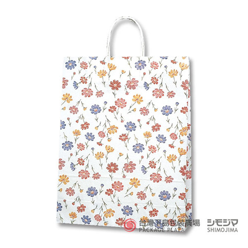 25CB 2才紙袋/Sindy/50入  |商品介紹|紙袋|HCB系列手提袋|25CB 2才系列 25CB 2才紙袋/Sindy/50入  |商品介紹|紙袋|HCB系列手提袋|25CB 2才系列