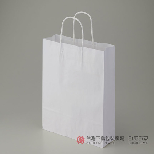 25CB MS1紙袋／白色／50入產品圖