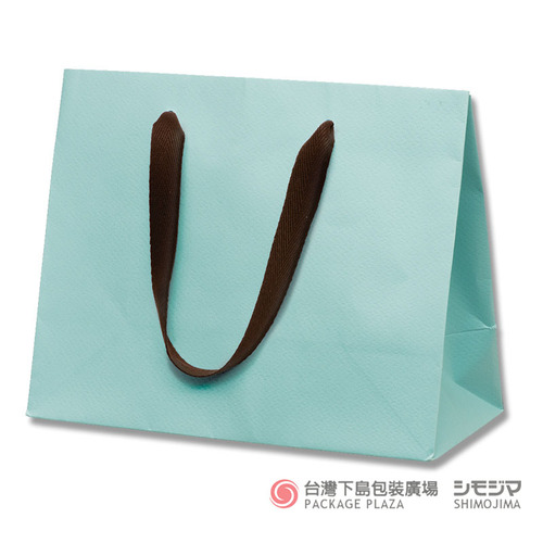 26-12 彩色紙袋/淺蔥/5入  |商品介紹|紙袋|高質感紙袋|Plain系列 26-12 彩色紙袋/淺蔥/5入  |商品介紹|紙袋|高質感紙袋|Plain系列