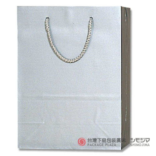 T-3 亮面紙袋／銀色／10入  |商品介紹|紙袋|高質感紙袋|T系列