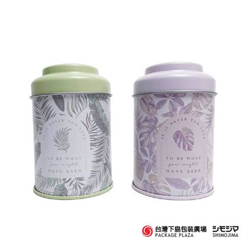 鐵罐) 夏日 / 綠&紫  |限定商品|季節主打新商品|日本小物