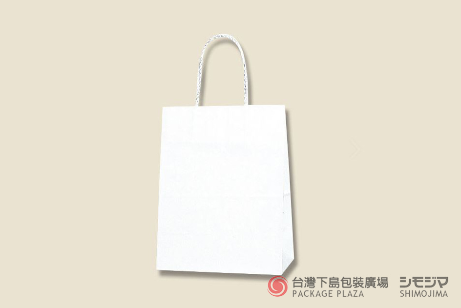 公版紙袋,手提紙袋,提袋批發,高級紙袋,精緻紙袋