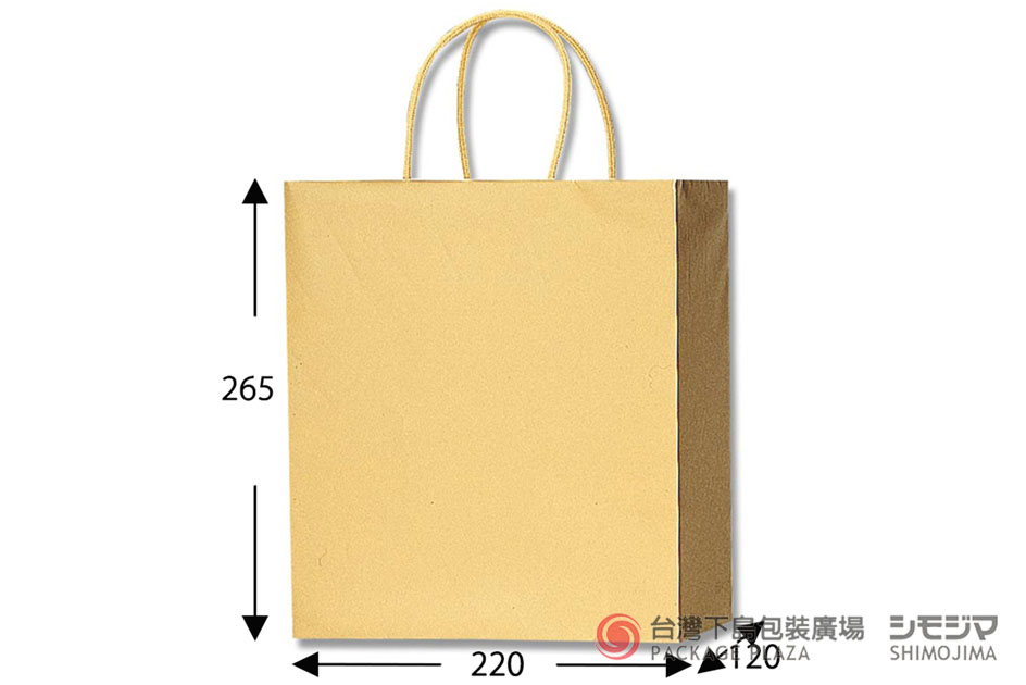 公版紙袋,手提紙袋,提袋批發,高級紙袋,精緻紙袋
