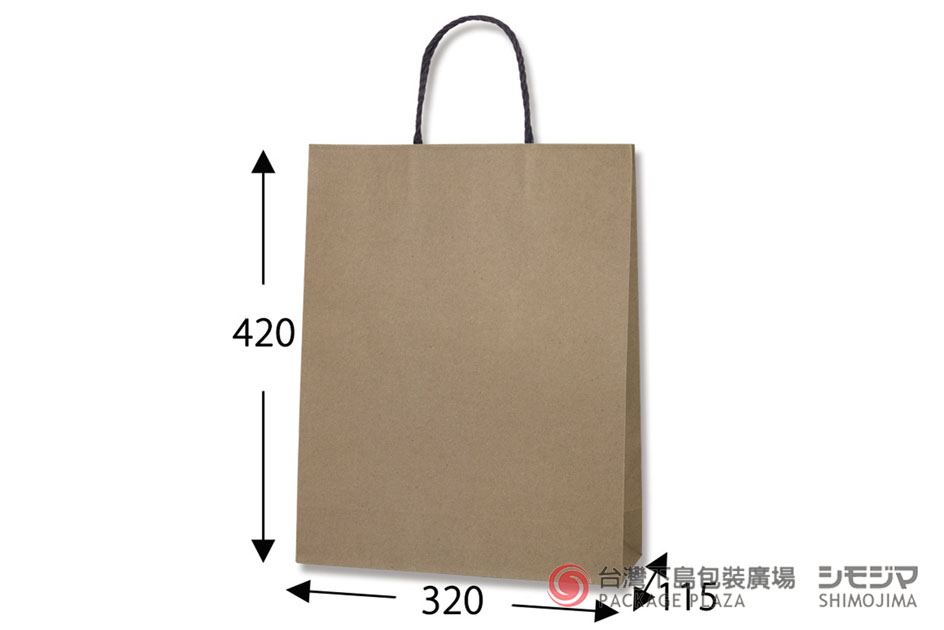 公版紙袋,手提紙袋,提袋批發,高級紙袋,精緻紙袋