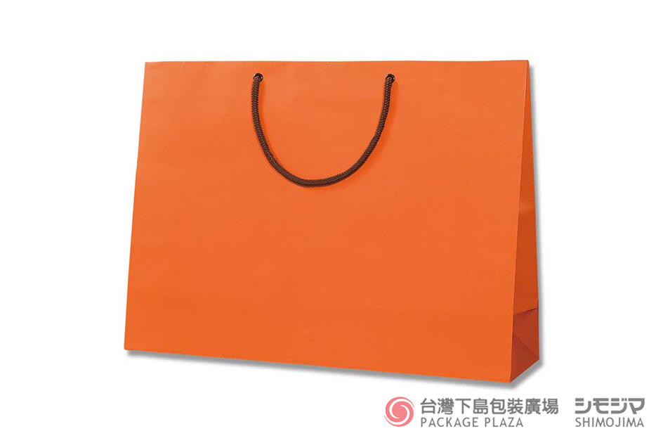 公版紙袋,手提紙袋,提袋批發,高級紙袋,精緻紙袋