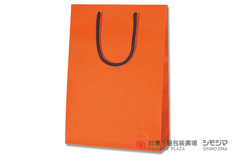 公版紙袋,手提紙袋,提袋批發,高級紙袋,精緻紙袋